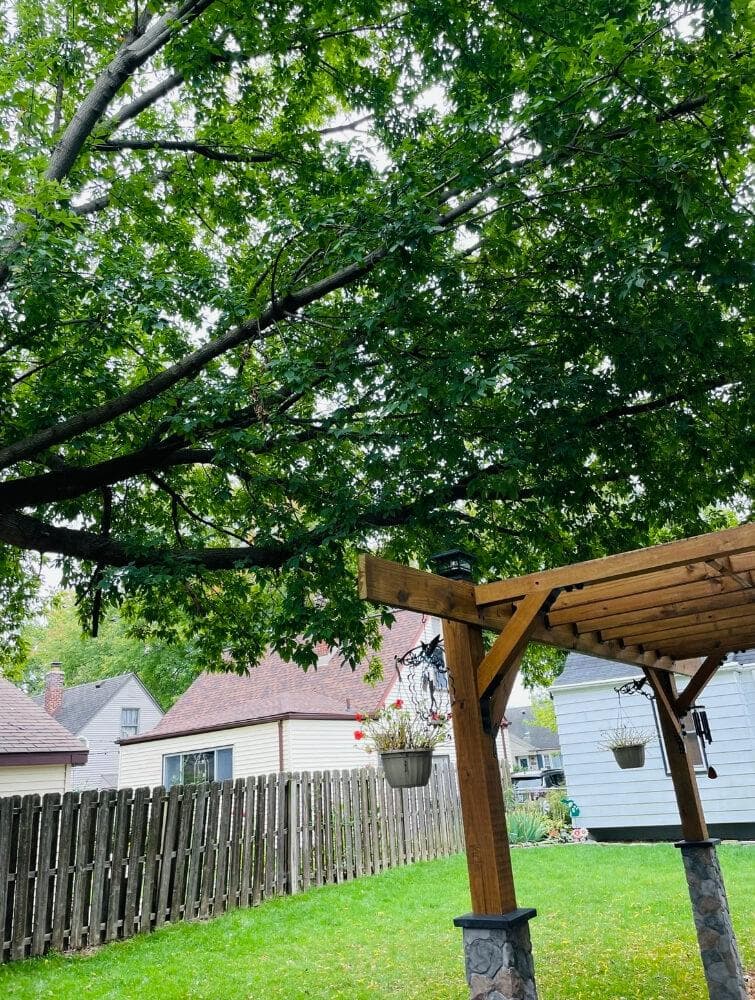 Residential Tree Removal