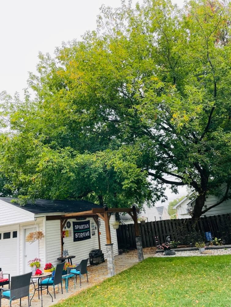 Residential Tree Removal